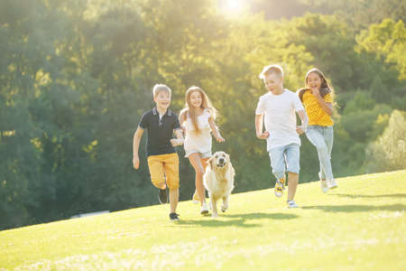 Group of happy children playing on green grass in a spring park with a dog. High quality photo.の写真素材