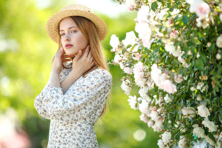 Beautiful young woman smells a rose flower. High quality photoの写真素材