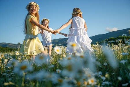 Children in nature. The girls play fun. High quality photoの写真素材