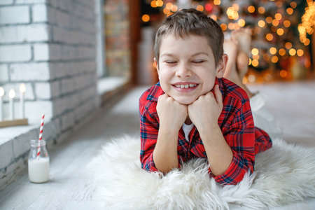 Child at Christmas. Happy child boy in a holiday. High quality photoの写真素材