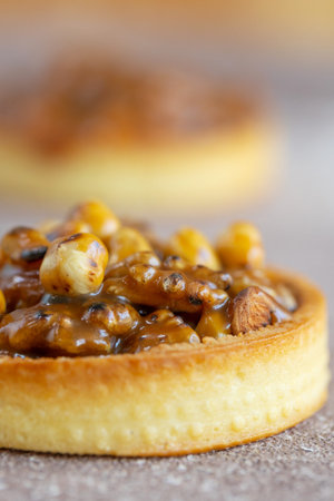 Brownie with nuts, delicious tartlet. High quality photoの写真素材