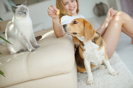 Feed your dog and cat. High quality photoの写真素材