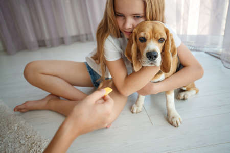 Feed your dog and cat. High quality photoの写真素材