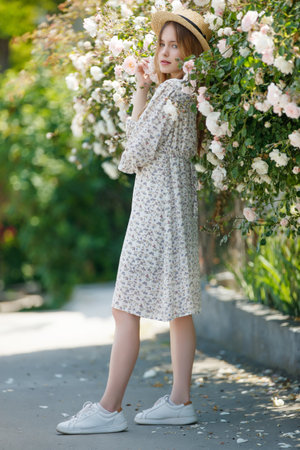 Beautiful girl in roses in nature. Young woman with flowers. High quality photoの写真素材