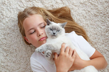 A child with an animal. Girl with a cat at home. High quality photoの写真素材