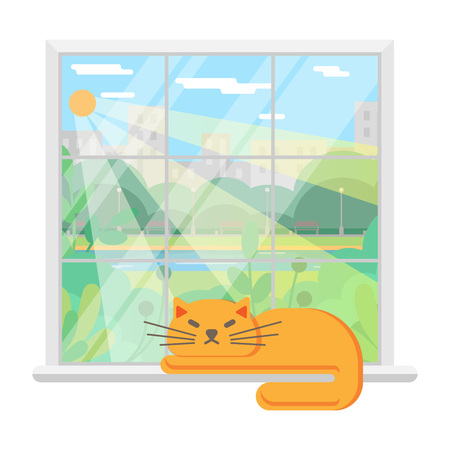 Window and cat. The cat is sleeping on the window. Vector image. Isolated imageのイラスト素材