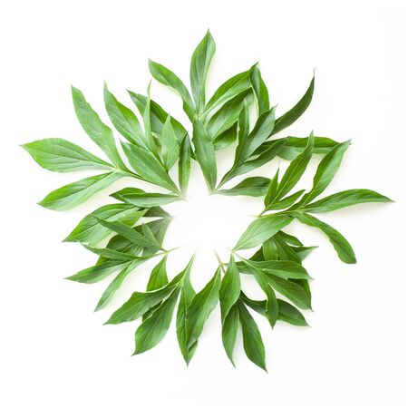 Round floral background. Background from peony leaves.の写真素材