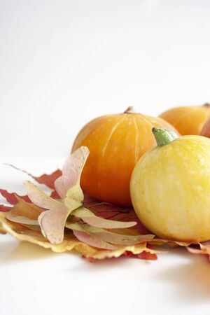 Autumn background. Pumpkins and Autumn Leaves. Autumn decorの写真素材