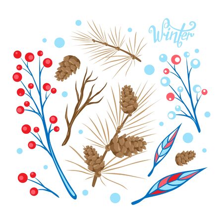 Winter set. Isoladed vector elements for your design. Winter decor. Plants, leaves, branches, conesのイラスト素材