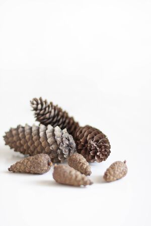 Cones on a white background. Winter Background for New Year and Christmas. Selective focusの写真素材