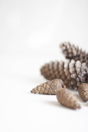 Cones on a white background. Winter Background for New Year and Christmas. Selective focusの写真素材