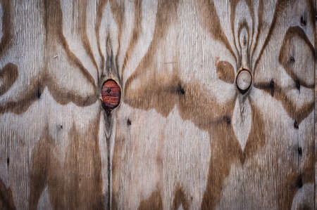 Wooden board textured surface with small detailsの写真素材