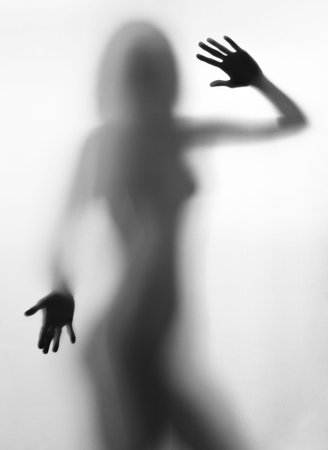 Silhouette of young sexy woman on white background. Studio shot