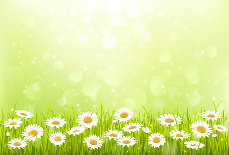 Spring background with green grass and flowersのイラスト素材