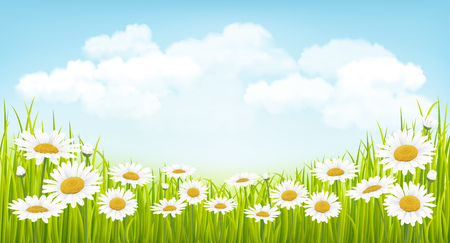 Spring background with green grass, flowers and blue skyのイラスト素材