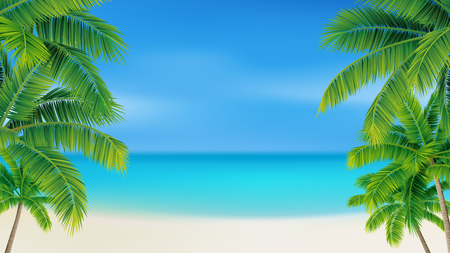 Palm trees on the beachのイラスト素材
