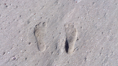the photo shows the prints of the feet