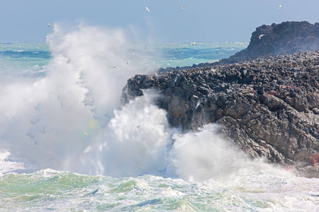 Close-up of powerful waves crashing onto a rocky coastline in a cloud of white spray in summer sunshine for a dramatic beautiful marine backgroundの写真素材