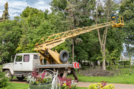 Workers cut down an old dry dead tree with a chainsaw in a city park using a truck crane