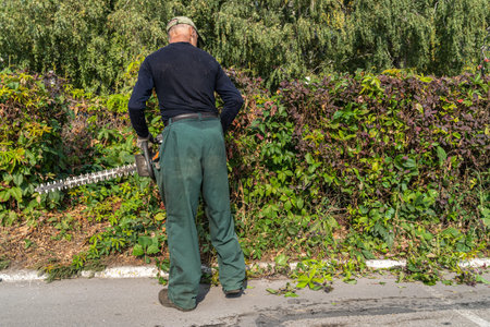 An adult man in overalls cuts bushes with an electric brush cutter in a city park creating a landscape designの写真素材