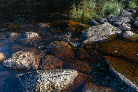 Northern nature with forests, lakes and rivers in its natural form.
