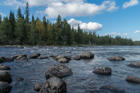Northern nature with forests, lakes and rivers in its natural form.