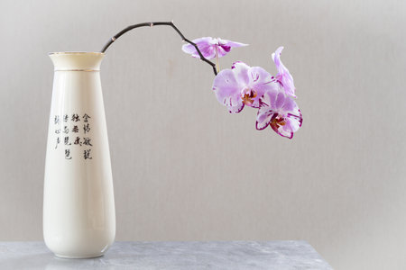 White with lilac orchid flowers in ceramic vase closeup isolated on gray background as postcard with copy space for text and as mockupの写真素材
