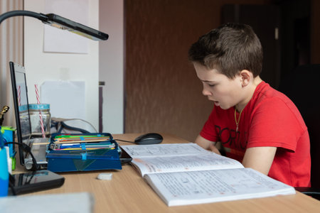 The boy teaches lessons remotely at home using a computer and the Internet.の写真素材