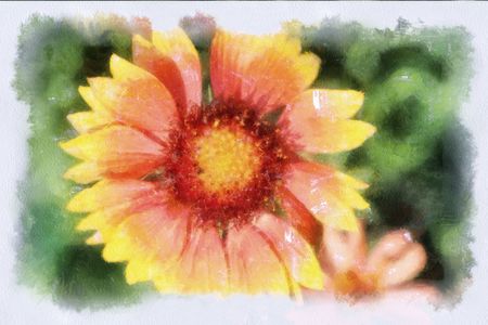 A watercolor picture of a flowerの写真素材