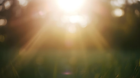 abstract bokeh background of green grass in the morning light Generative AIの素材