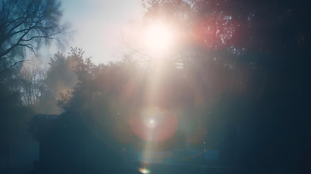 Foggy morning in the city. The sun shines through the trees Generative AIの素材