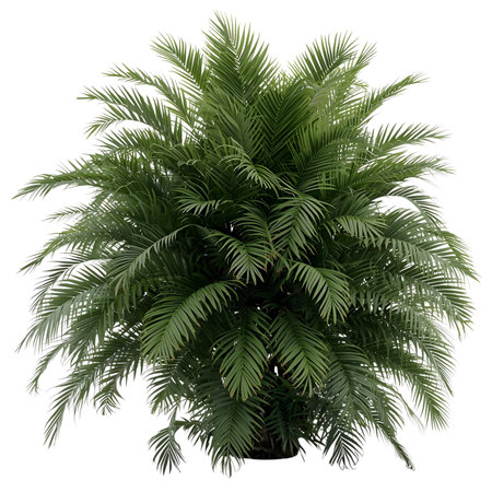 Palm tree Clipping path included Generative AIの素材