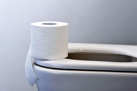 A white roll of soft toilet paper on the toilet seatの写真素材