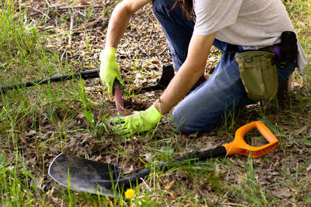 a man in gloves is looking for a treasure in the ground with the help of a pinpointer in the spring forest. shovel in frontの写真素材