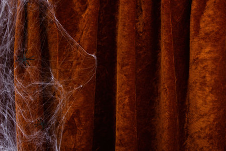 Halloween composition with spiderwebs and spiders on velvet curtain background. Halloween party greeting card mockup. copyspace.の写真素材