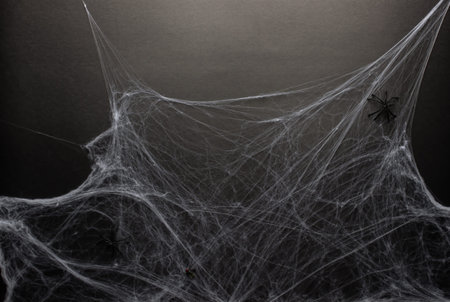 Spider web on a black background, small spiders in the corners and a fly at the bottom of the frame....