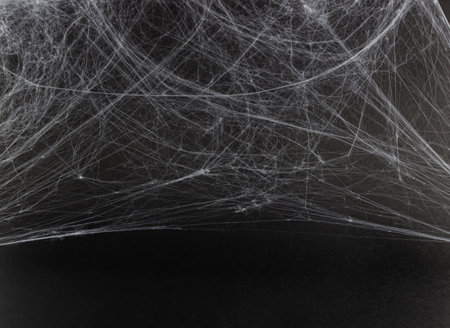 Spider web on a black background.  Background for holiday card, flyer or banner.  Halloween.の写真素材
