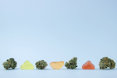 Dried medical cannabis buds stand alongside fruit-shaped gummies. On a pale blue background, lots of empty spaceの写真素材