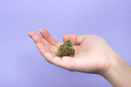 A woman's hand with natural nails holds a one dry bud of medical marijuana in the palm of her hand on a light purple background. copy spaceの写真素材
