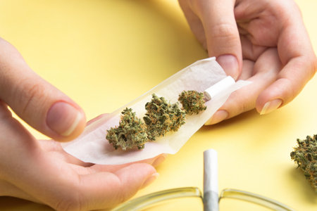 In women's hands there is paper for a joint, a filter and several buds of dry medical marijuana, next to joint and a glass ashtray. On a bright banana yellow backgroundの写真素材