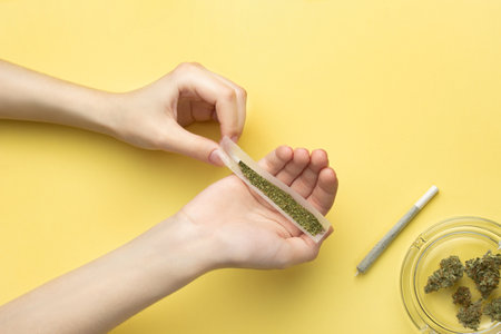 In women's hands, paper for a joint, a filter and crushed medical marijuana, next to it are cannabis buds and a ready-made joint, a glass ashtray. Against a bright banana yellow backgroundの写真素材