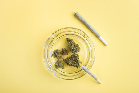 Dry buds of medical marijuana lie in a glass ashtray, next to two cannabis joints of different size, on a bright yellow background. Lots of empty spaceの写真素材