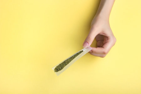 In female hands, paper for a joint, a filter and crushed medical marijuana. Against a bright banana yellow backgroundの写真素材