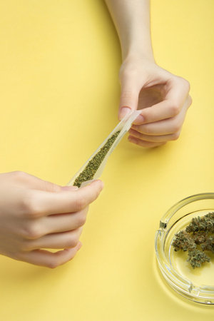 In women's hands, paper for a joint, a filter and crushed medical marijuana, next to it are cannabis buds and a glass ashtray. Against a bright banana yellow backgroundの写真素材