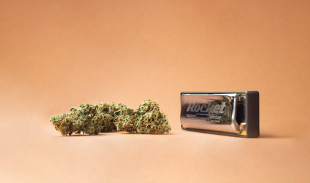 vintage frame. A professional Hohner Rocket diatonic harmonica sits next to dry marijuana buds. On a...