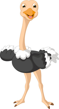 cute ostrich cartoonのイラスト素材