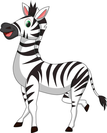 cute zebra cartoonのイラスト素材