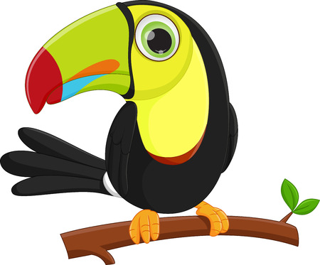 cute toucan bird cartoonのイラスト素材