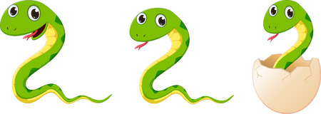 cute snake cartoonのイラスト素材