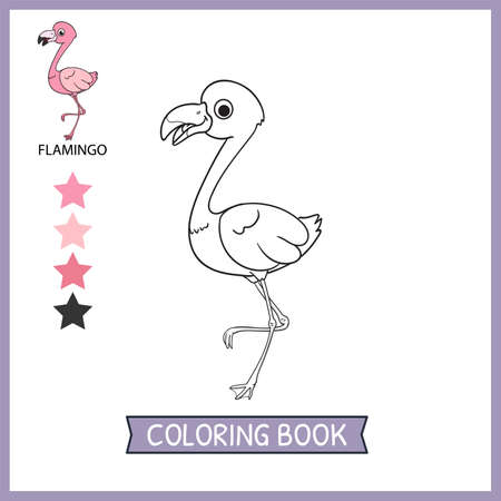 coloring pages or books for kids. cute flamingo cartoon illustrationのイラスト素材